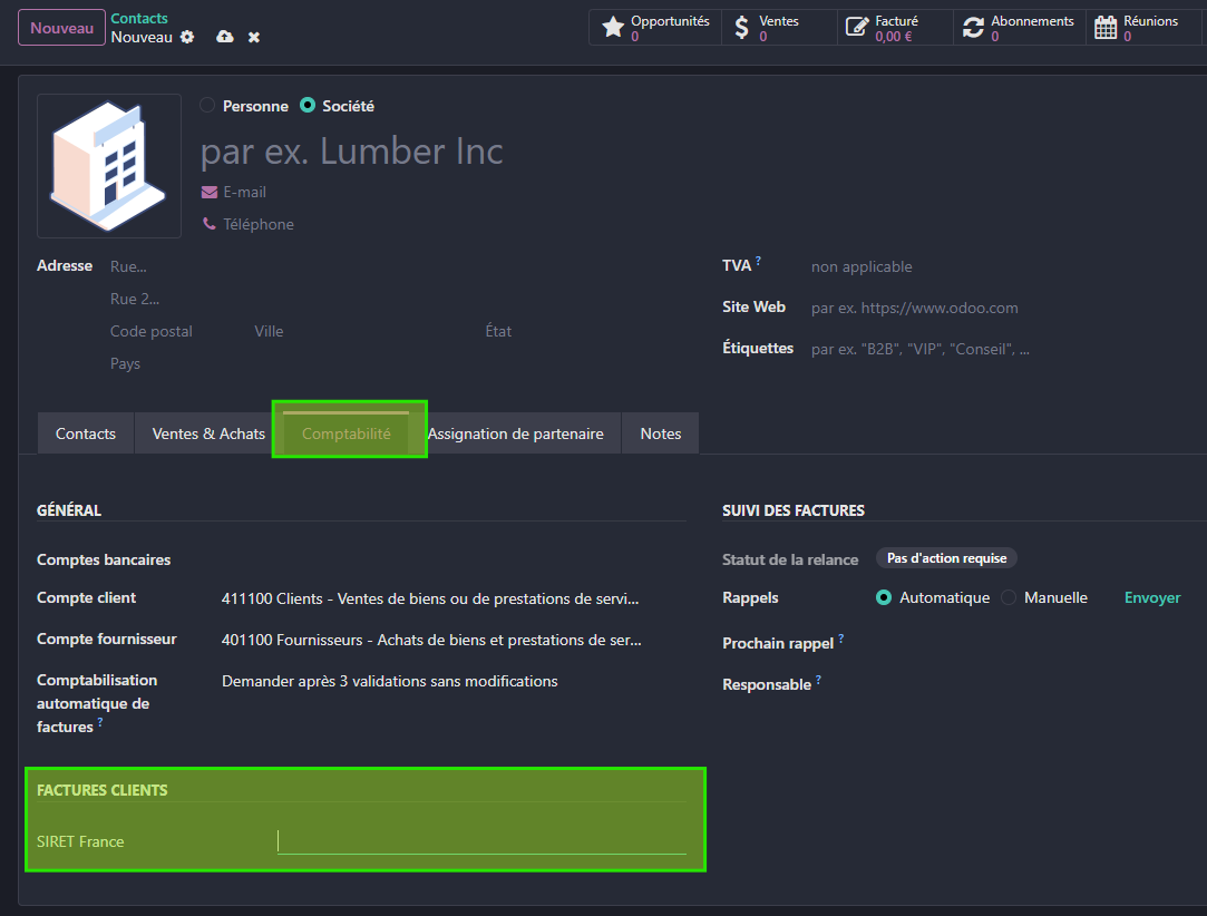 écran Odoo fiche contact facturation électronique SIRET