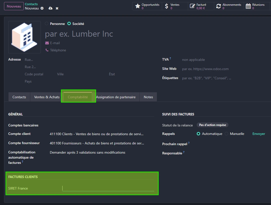 écran Odoo fiche contact facturation électronique SIRET